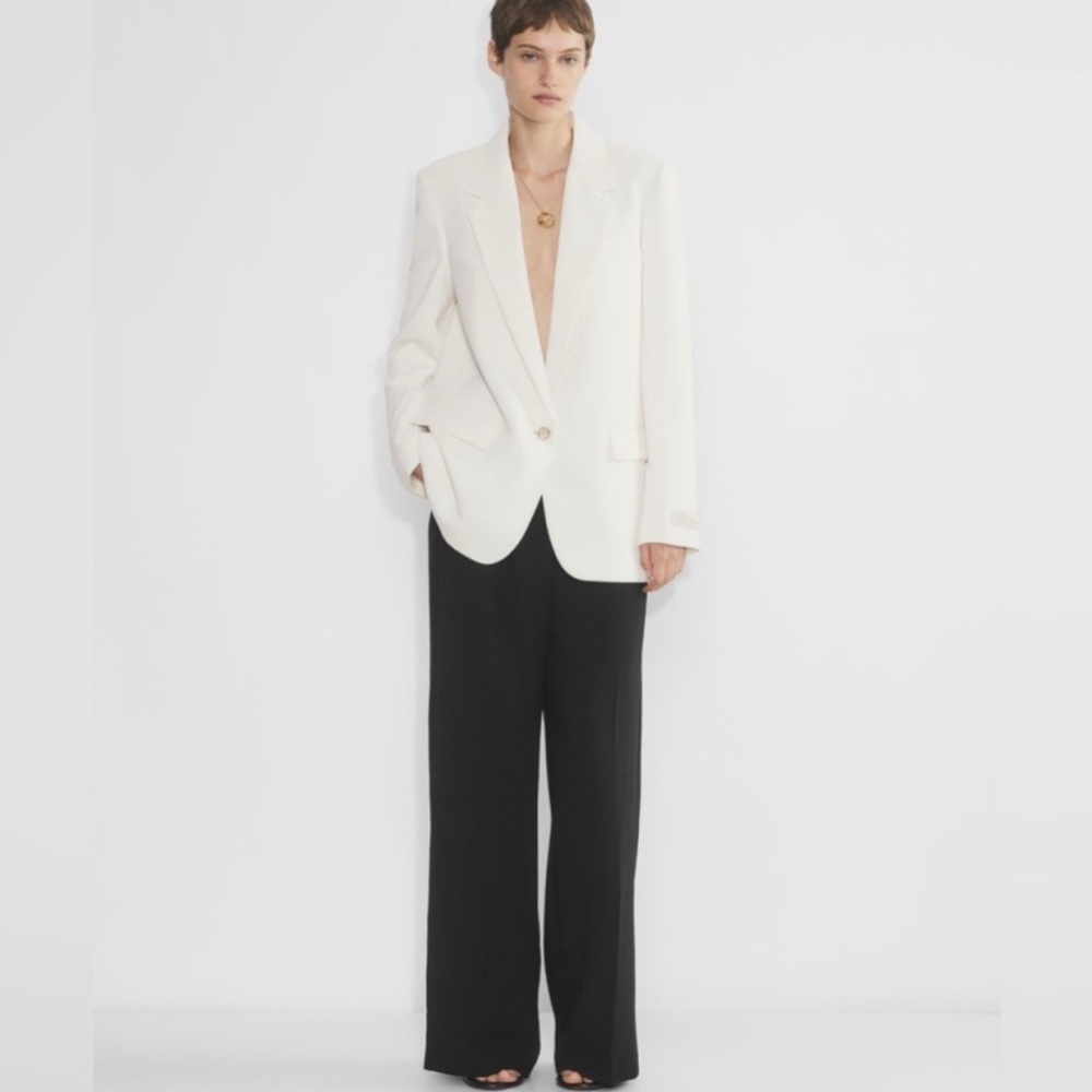 Aritzia Wilfred  Generation Blazer
